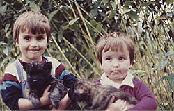 Cairn Terrier und Kinder